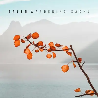 Wandering Sadhu