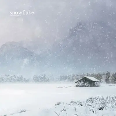 Snowflake